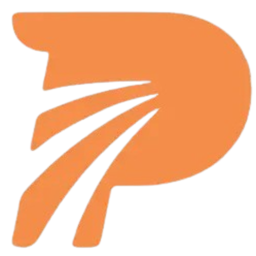 payaldigi.com Logo